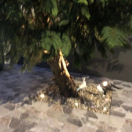 Sao Pedro  Casa De Vivian And Michaelヴィラ エクステリア 写真
