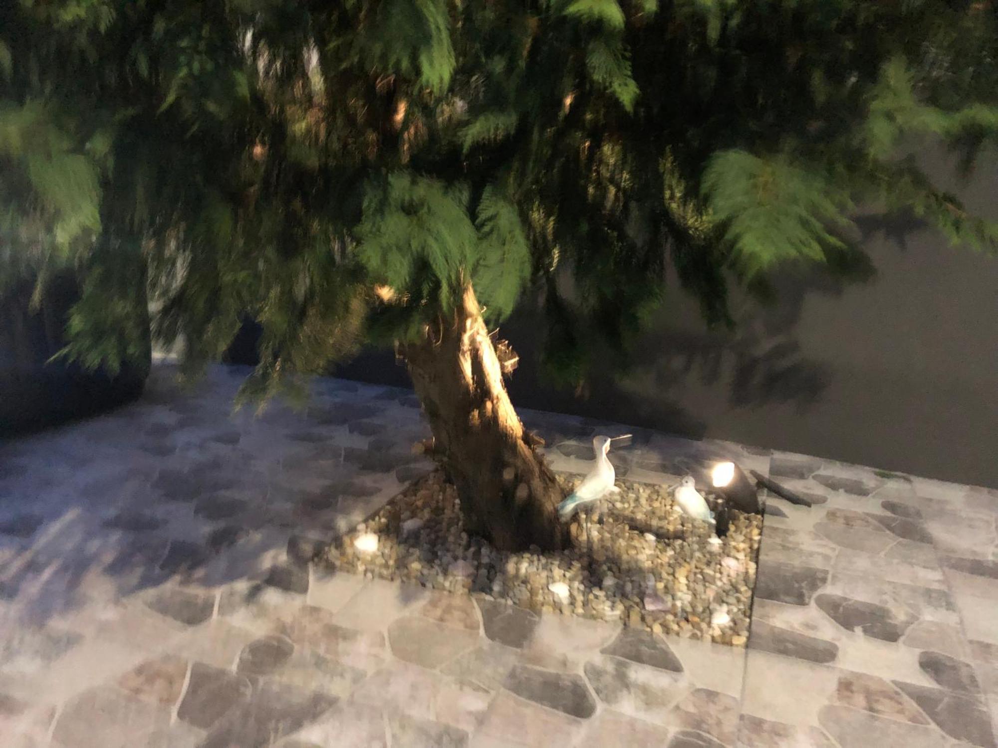 Sao Pedro  Casa De Vivian And Michaelヴィラ エクステリア 写真